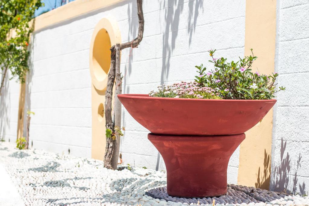 Mosaic Gardens Daire Faliraki Dış mekan fotoğraf